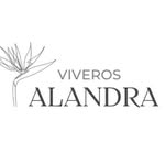 Viverosalandra